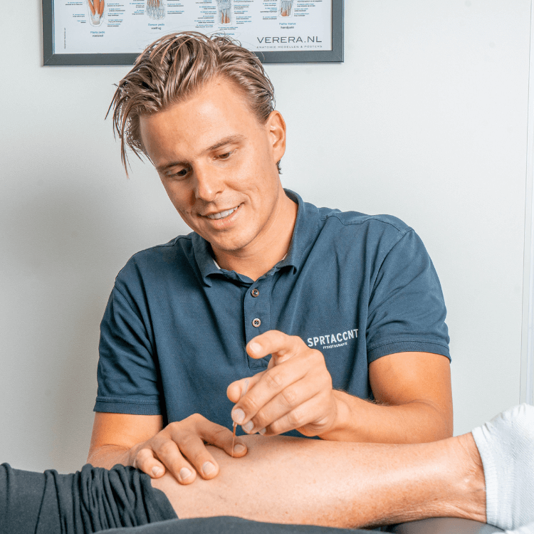 fysiotherapie voorburg